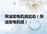 柴油發(fā)電機(jī)組啟動(dòng)（柴油發(fā)電機(jī)組）