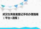 武漢生育備案登記手機辦理指南（平臺+流程）