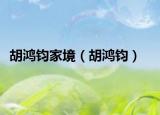 胡鴻鈞家境（胡鴻鈞）