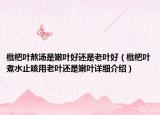 枇杷葉熬湯是嫩葉好還是老葉好（枇杷葉煮水止咳用老葉還是嫩葉詳細(xì)介紹）