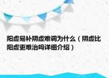 陽(yáng)虛易補(bǔ)陰虛難調(diào)為什么（陰虛比陽(yáng)虛更難治嗎詳細(xì)介紹）