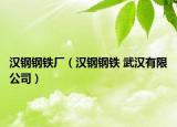 漢鋼鋼鐵廠(chǎng)（漢鋼鋼鐵 武漢有限公司）