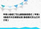 蘋果13靜音了怎么解除靜音模式（蘋果13靜音開關(guān)在哪里設(shè)置 靜音模式怎么打開介紹）