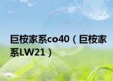 巨桉家系co40（巨桉家系LW21）