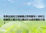 有爭議農(nóng)村土地被侵占怎樣解決（農(nóng)村土地被別人侵占可以通過什么途徑維權(quán)介紹）