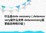 什么是data recovery（datarecovery是什么文件 datarecovery是系統(tǒng)文件嗎介紹）