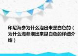 印尼海參為什么泡出來是白色的（為什么海參泡出來是白色的詳細介紹）