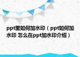 ppt里如何加水印（ppt如何加水印 怎么在ppt加水印介紹）