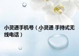 小靈通手機(jī)號(hào)（小靈通 手持式無(wú)線電話）