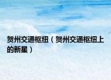賀州交通樞紐（賀州交通樞紐上的新星）