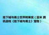 地下城與勇士世界樹果實(shí)（亞米 騰訊游戲《地下城與勇士》寵物）