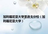 加利福尼亞大學(xué)圣迭戈分校（加利福尼亞大學(xué)）