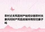 農(nóng)村丈夫死后財(cái)產(chǎn)如何分割農(nóng)村夫妻共同財(cái)產(chǎn)死后房屋所有權(quán)歸妻子嗎