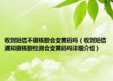 收到短信不做核酸會變黃碼嗎（收到短信通知做核酸檢測會變黃碼嗎詳細介紹）