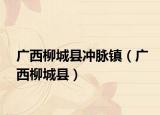 廣西柳城縣沖脈鎮(zhèn)（廣西柳城縣）