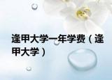 逢甲大學(xué)一年學(xué)費（逢甲大學(xué)）