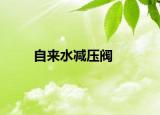 自來水減壓閥