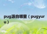 pug源自哪里（pugyuru）