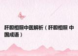 肝膽相照中醫(yī)解析（肝膽相照 中國(guó)成語(yǔ)）