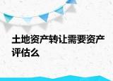 土地資產(chǎn)轉(zhuǎn)讓需要資產(chǎn)評估么