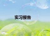 實習(xí)報告