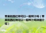 蘋(píng)果和西紅柿可以一起榨汁嗎（蘋(píng)果和西紅柿可以一起榨汁嗎詳細(xì)介紹）