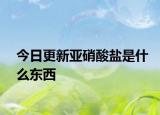 今日更新亞硝酸鹽是什么東西
