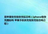 用蘋(píng)果快充有快充標(biāo)志嗎（iphone有快充圖標(biāo)嗎 蘋(píng)果手機(jī)快充有快充標(biāo)志嗎介紹）
