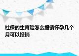 社保的生育險怎么報銷懷孕幾個月可以報銷