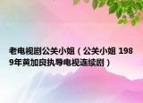 老電視劇公關(guān)小姐（公關(guān)小姐 1989年黃加良執(zhí)導(dǎo)電視連續(xù)?。? /></span></a>
                        <h2><a  title=