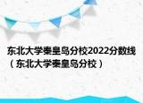 東北大學(xué)秦皇島分校2022分?jǐn)?shù)線（東北大學(xué)秦皇島分校）