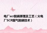 電廠scr脫硝原理及工藝（火電廠SCR煙氣脫硝技術(shù)）