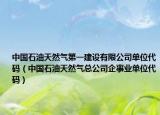 中國石油天然氣第一建設(shè)有限公司單位代碼（中國石油天然氣總公司企事業(yè)單位代碼）