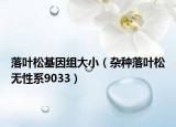落葉松基因組大?。s種落葉松無性系9033）