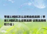 蘋果13相機(jī)怎么設(shè)置自拍美顏（蘋果13相機(jī)怎么設(shè)置美顏 設(shè)置美顏教程介紹）
