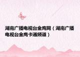 湖南廣播電視臺(tái)金鷹網(wǎng)（湖南廣播電視臺(tái)金鷹卡通頻道）