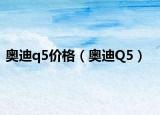 奧迪q5價格（奧迪Q5）