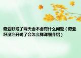奇亞籽泡了兩天會不會有什么問題（奇亞籽沒泡開喝了會怎么樣詳細介紹）