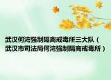 武漢何灣強(qiáng)制隔離戒毒所三大隊(duì)（武漢市司法局何灣強(qiáng)制隔離戒毒所）