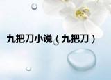 九把刀小說（九把刀）