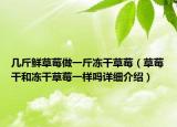 幾斤鮮草莓做一斤凍干草莓（草莓干和凍干草莓一樣嗎詳細(xì)介紹）