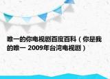 唯一的你電視劇百度百科（你是我的唯一 2009年臺灣電視?。? /></span></a>
                        <h2><a  title=