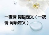 一夜情 詞語定義（一夜情 詞語定義）
