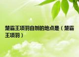 楚霸王項(xiàng)羽自刎的地點(diǎn)是（楚霸王項(xiàng)羽）