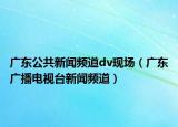 廣東公共新聞?lì)l道dv現(xiàn)場（廣東廣播電視臺(tái)新聞?lì)l道）