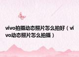 vivo拍攝動態(tài)照片怎么拍好（vivo動態(tài)照片怎么拍攝）