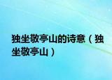 獨坐敬亭山的詩意（獨坐敬亭山）