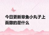 今日更新章魚小丸子上面撒的是什么