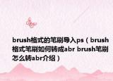 brush格式的筆刷導(dǎo)入ps（brush格式筆刷如何轉(zhuǎn)成abr brush筆刷怎么轉(zhuǎn)abr介紹）