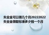 失業(yè)金可以領幾個月20222022失業(yè)金領取標準多少錢一個月